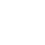 cerveau